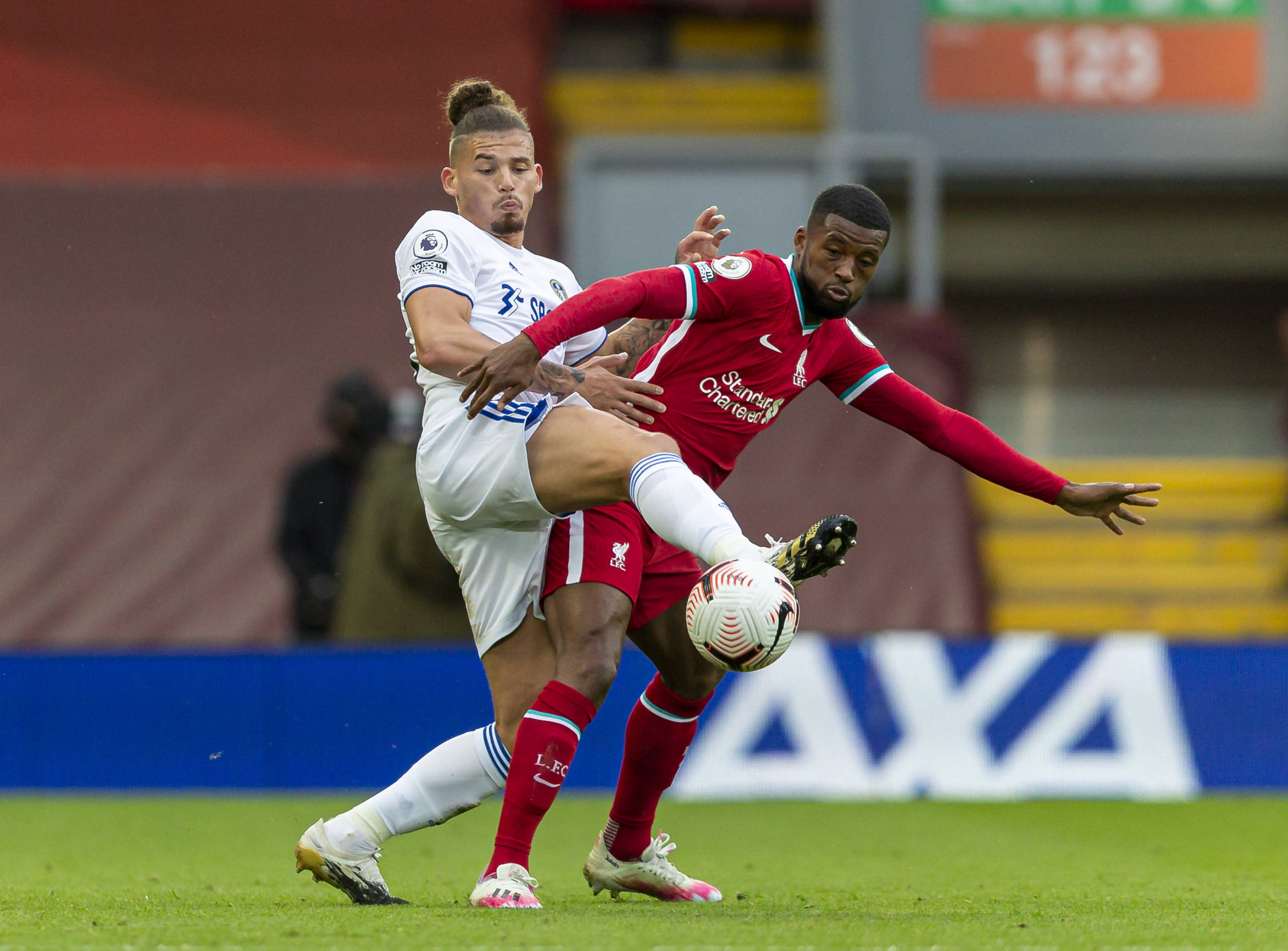 也为其他年 也为其他年