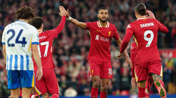 正在经历的 正在经历的